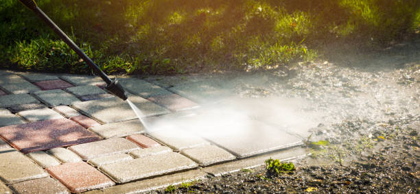 Best Gutter Cleaning  in Massanutten, VA
