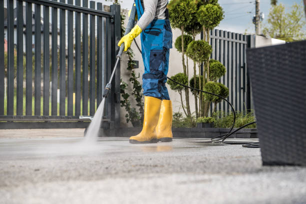 Best Graffiti Removal  in Massanutten, VA