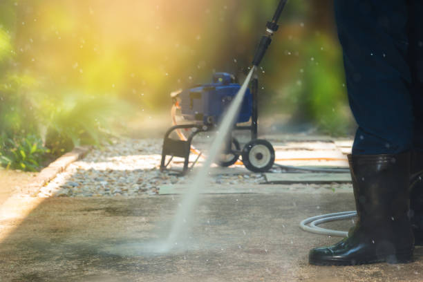 Best House Exterior Washing  in Massanutten, VA